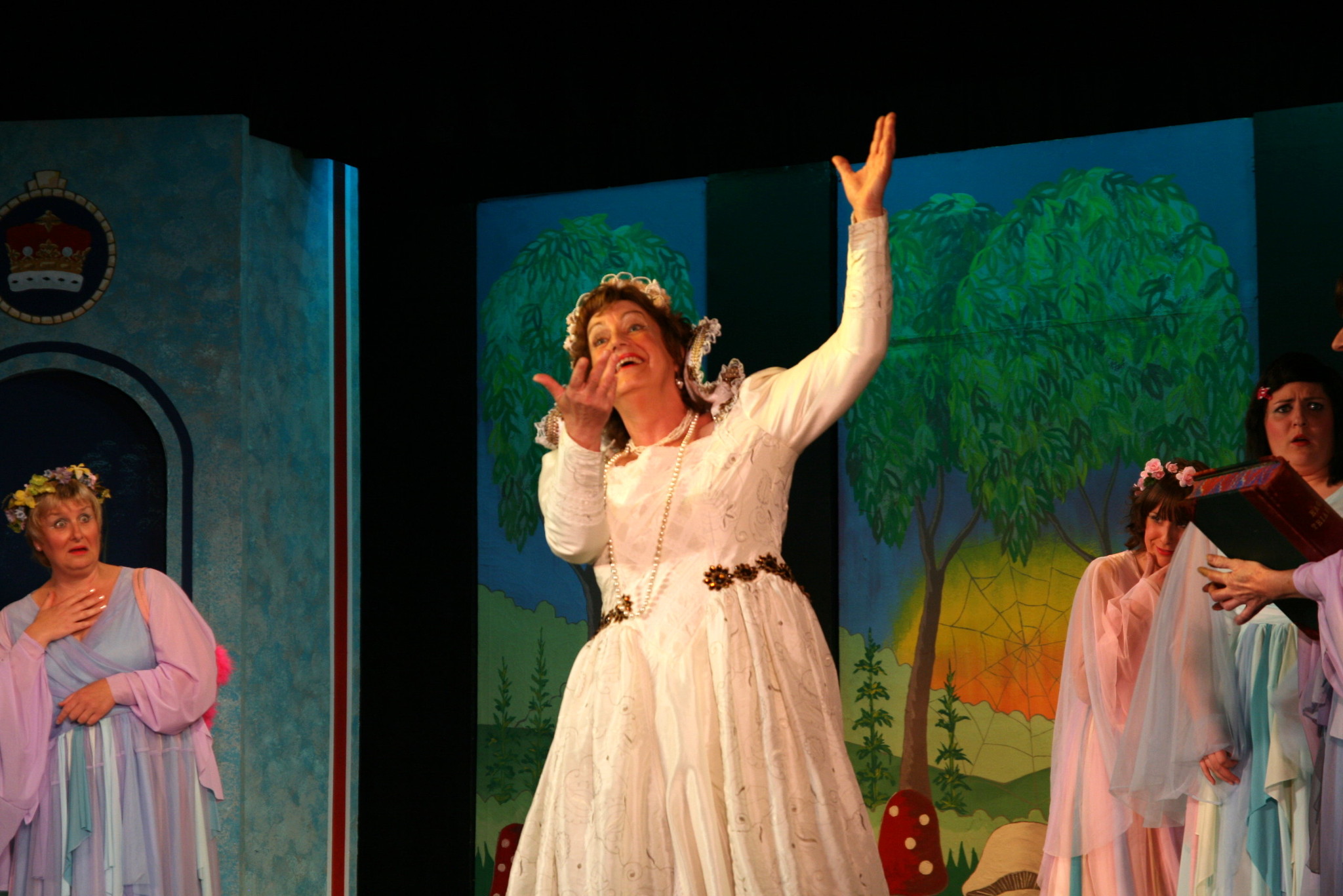 Iolanthe 2011